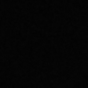 Meet your Posher, Bailey